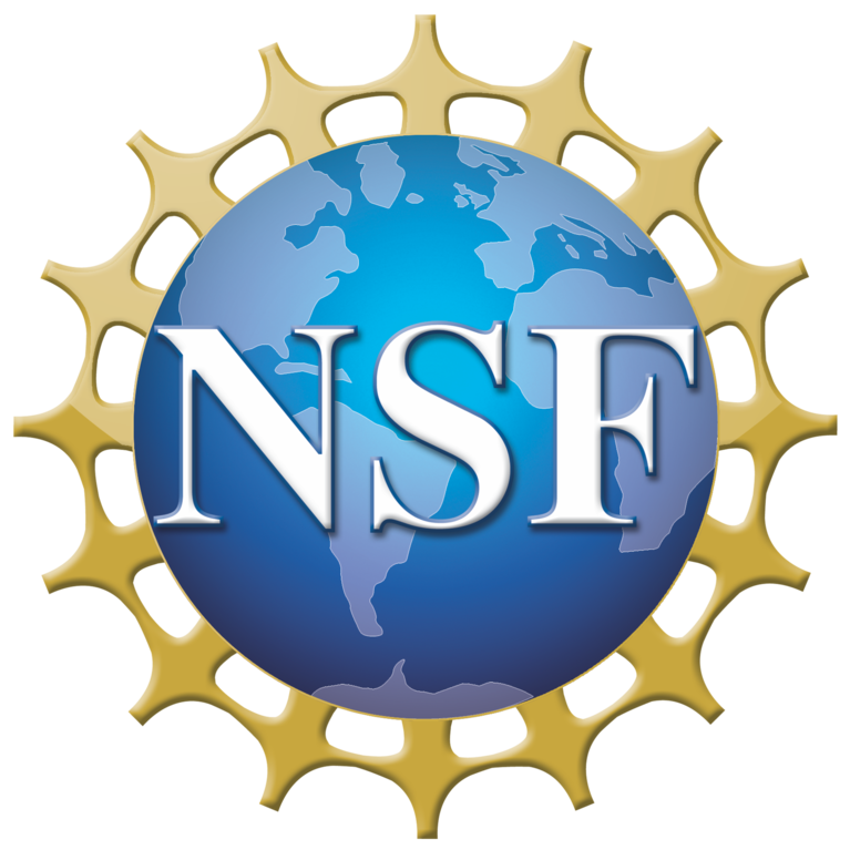 nsf logo
