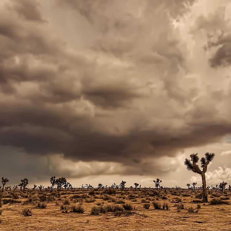 Mojave Desert