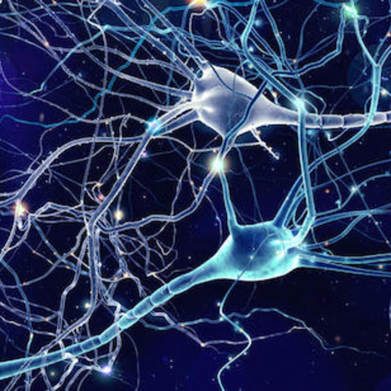 neurons
