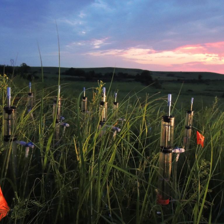 Irrigation test site in Kansas