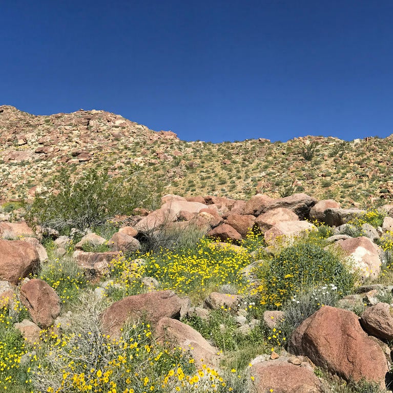 A mountain range in the Anza Gap