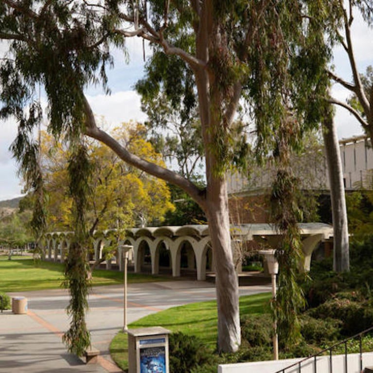 A view of the bell tower lawn on campus