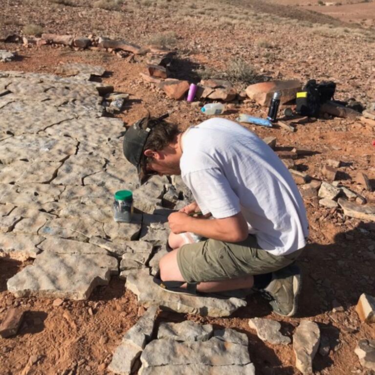 Researcher studying fossils