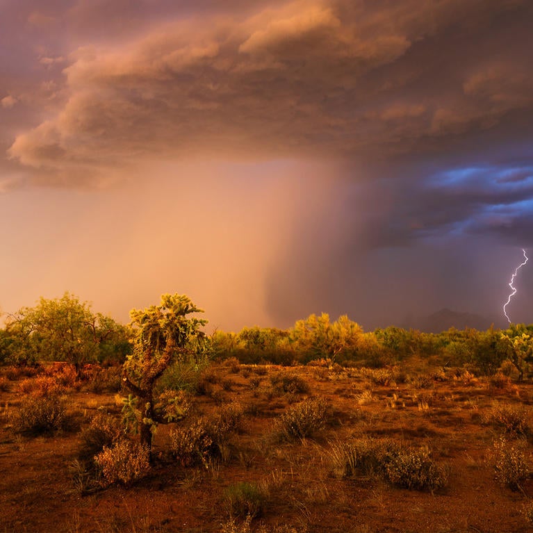 rainy day in the desert