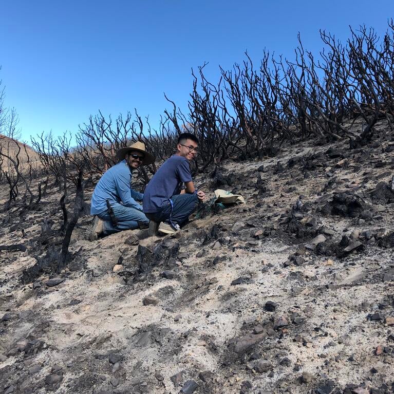 soil sampling at Holy Fire site