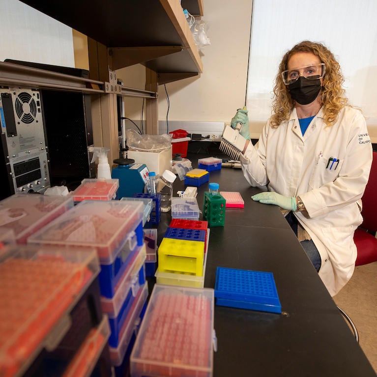 Holly Clark's laboratory