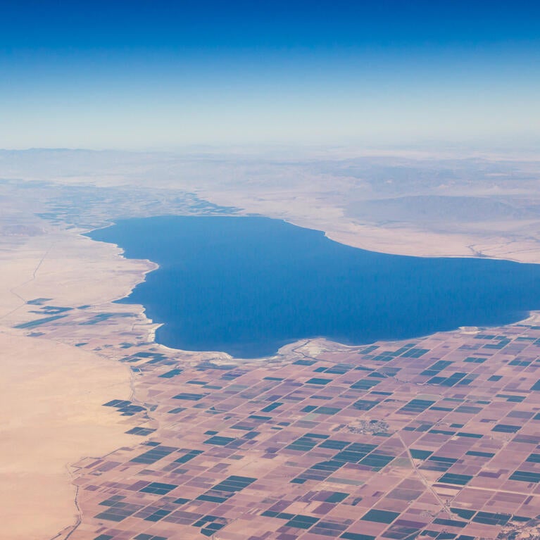 Salton Sea
