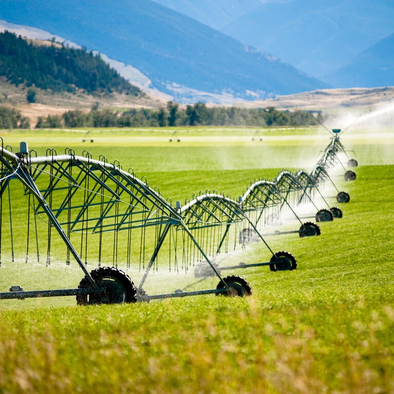 crop irrigation