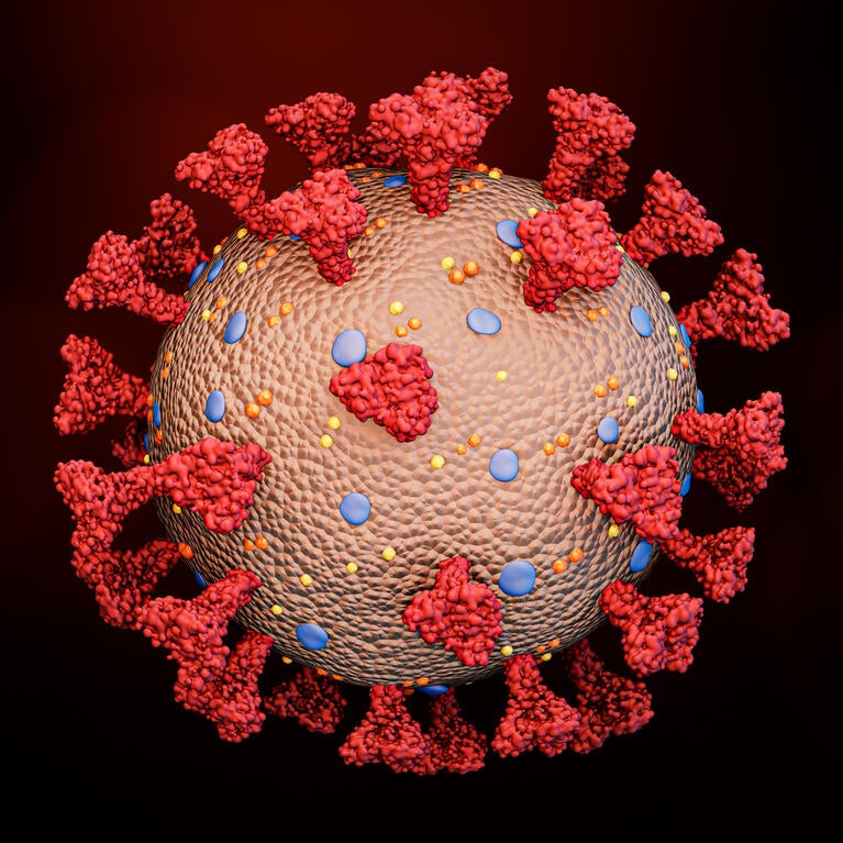 Coronavirus