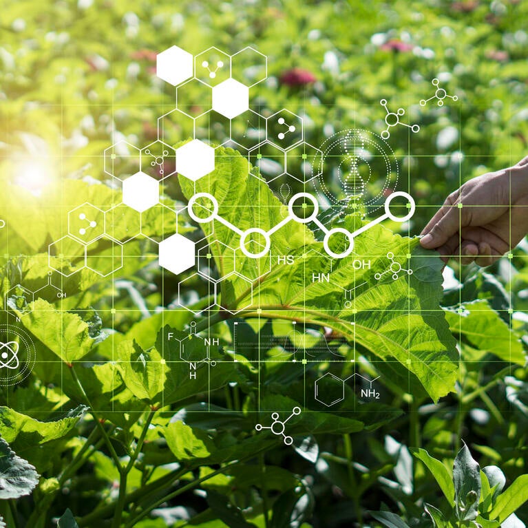 farming with molecular chemistry