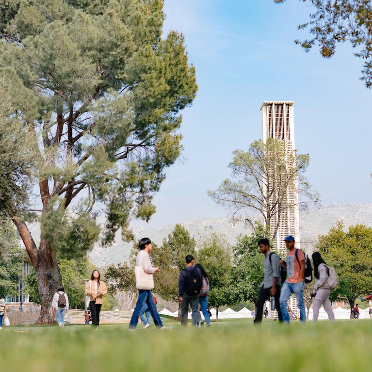 Campus image