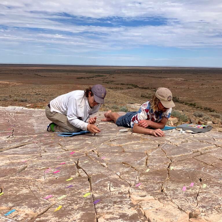 Scott Evans and Ian Hughes excavating a fossil bed at Nilpena National Park.