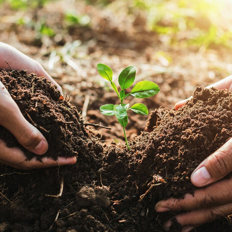 Sustainable agriculture. Shows two hands and a plant in between.