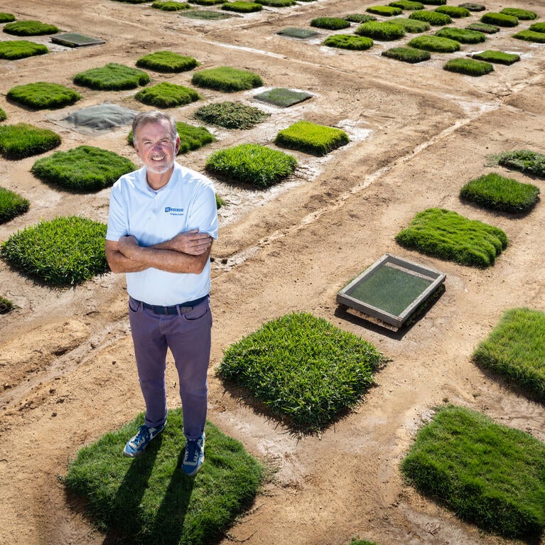 Jim Baird standing on a plot of Coachella turfgrass