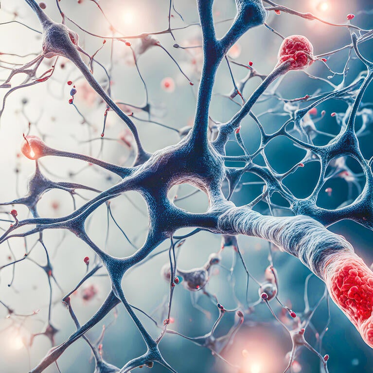 Neural network brain cells