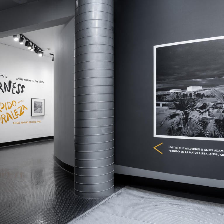 Lost in the Wilderness exhibition at UCR Arts