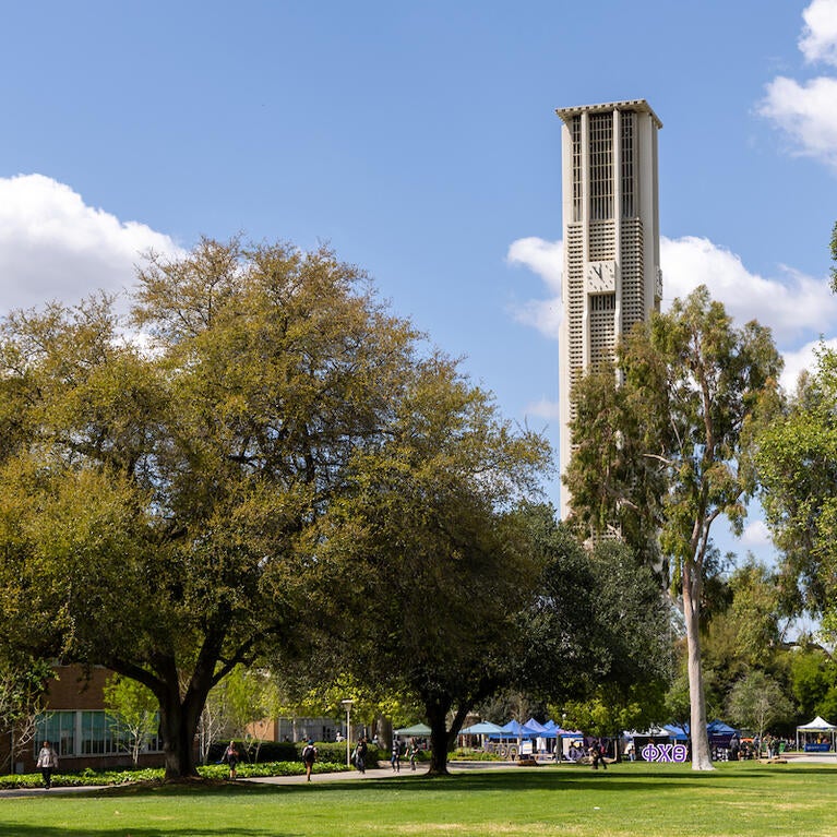 Pierce Lawn on campus