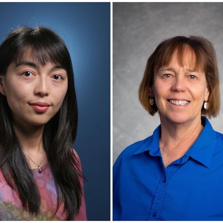 Hailing Jin and Mary Droser