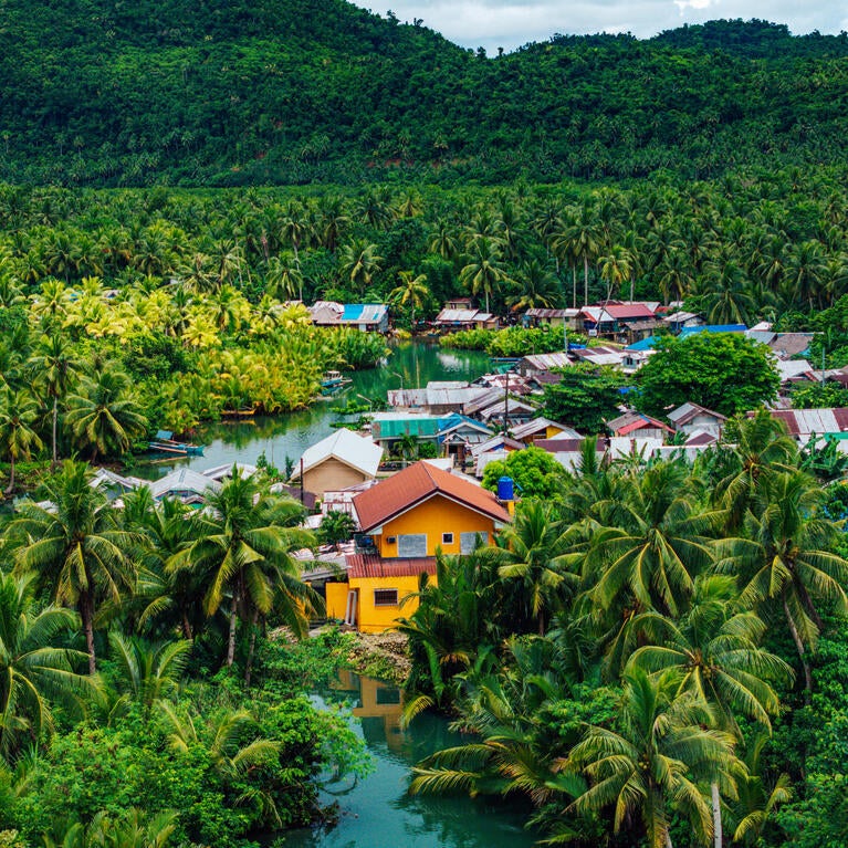 Philippine village in a forest