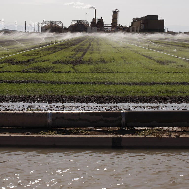 Water use on an Imperial Valley farm.