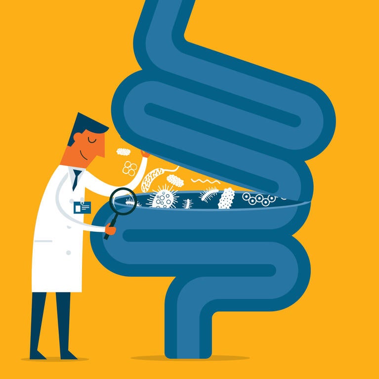 Doctor looking into a gut