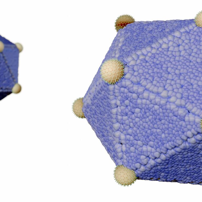 Icosahedron virus