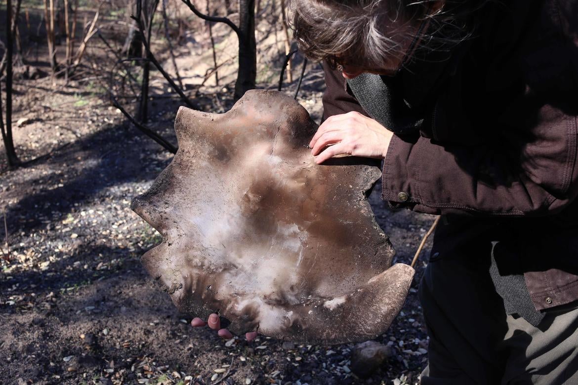 Anna Mayer, "Recovering Wildfire-fired Ceramic," 2018. (Courtesy of the artist)