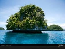 Large ocean rock with base chewed down by chitons.