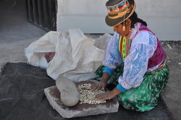 Grinding corn