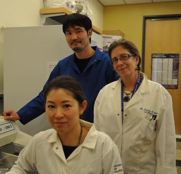 Sachiko Haga-Yamanaka, Naoki Yamanaka, and Frances Sladek