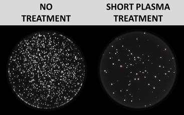 E. coli bacteria with no treatment on left and after a short plasma treatment on right.
