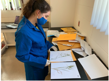 Itemizing grass samples