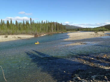Alaskan stream
