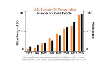 obesity vs soybean oil consumption