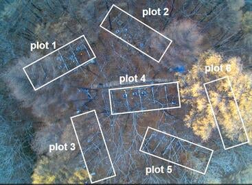 Overhead view of the research site