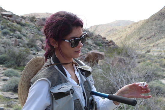 Lauren Ponisio holds a vial that contains a native bee she just captured.