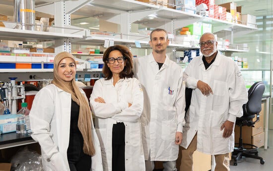 Karine Le Roch and her research team