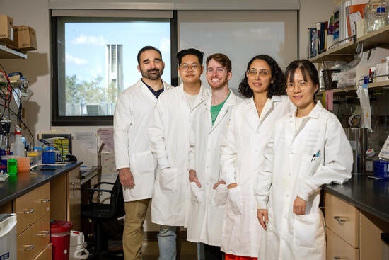 Sihem Cheloufi and her team