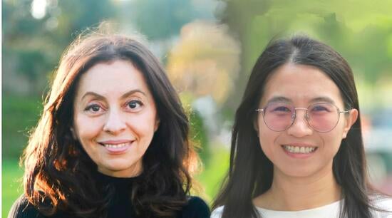 Roya Zandi and Siyu Li