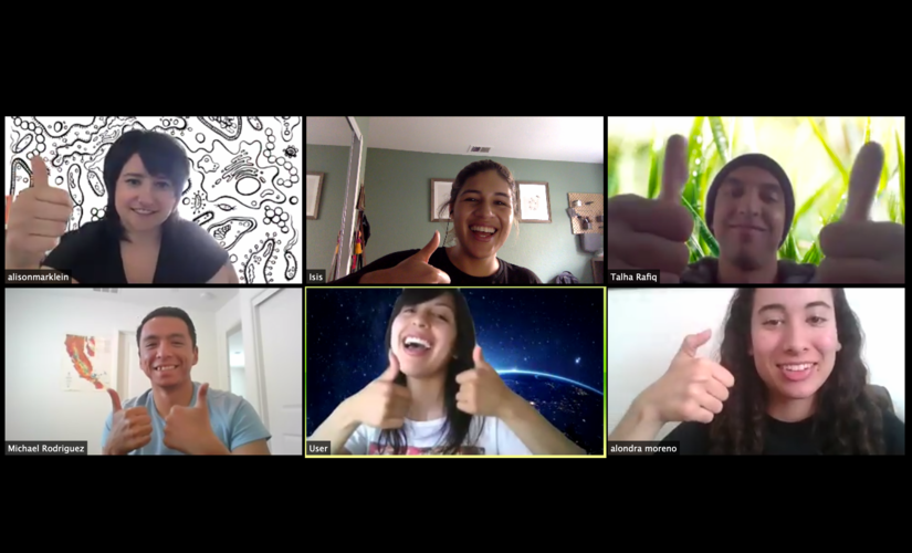The UC Riverside team of researchers remain connected via Zoom. (Courtesy of Isis Fraústo-Vicencio)