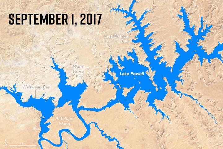 Lake Powell graphic (UCR/Evan Fields)