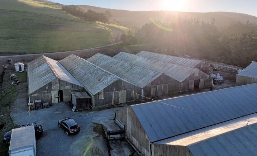 HALF MOON BAY, CALIFORNIA - JANUARY 24: In an aerial view, greenhouses are seen at a farm where a mass shooting occurred on January 24, 2023 in Half Moon Bay, California. Seven people were killed at two separate farm locations that were only a few miles apart in Half Moon Bay on Monday afternoon. The suspect, Chunli Zhao, was taken into custody a few hours later without incident. (Photo by Justin Sullivan/Getty Images)