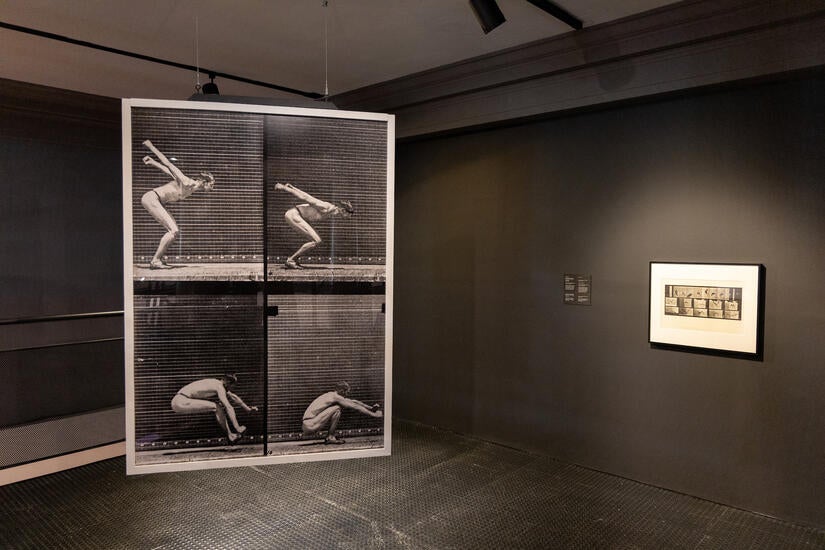 Photographs by Eadweard Muybridge “Locomotion Study” left and “Animal Locomotion” on display in the exhibit Movement Exercises (After Muybridge) at UCR Arts, California Museum of Photography, running from March 2-July 7, 2024.  (UCR/Stan Lim)