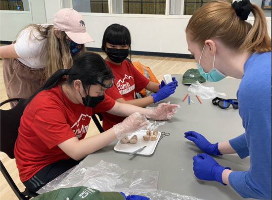 3/22 Camp Highlander: NM 3