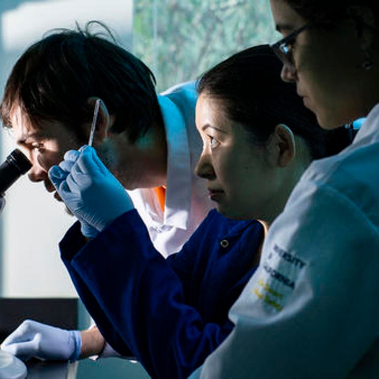 MCSB Sachiko Yamanaka lab (c) UCR