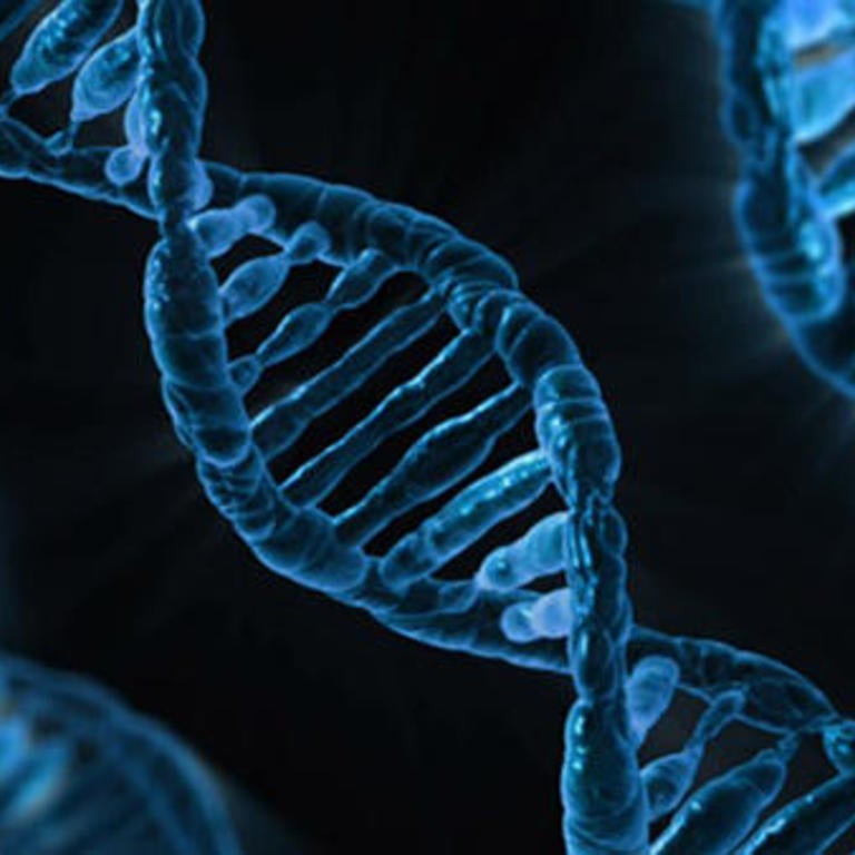 genome dna (c) iStock