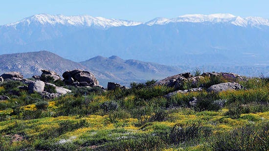 Motte Rimrock panorama (c) UCR / Stan Lim