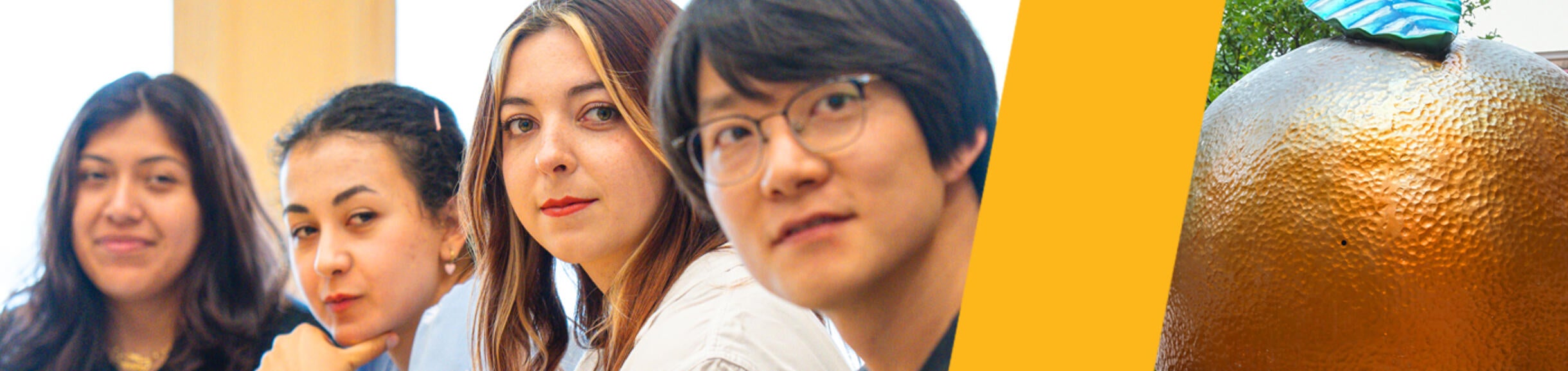 DEI: Specialized Subfield of Study Header Image