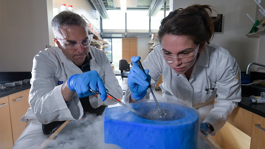 Crimean Congo Hemorrhagic Fever virus (CCHFV) test