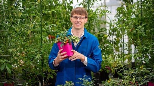 Robert Jinkerson with his "space tomatoes"